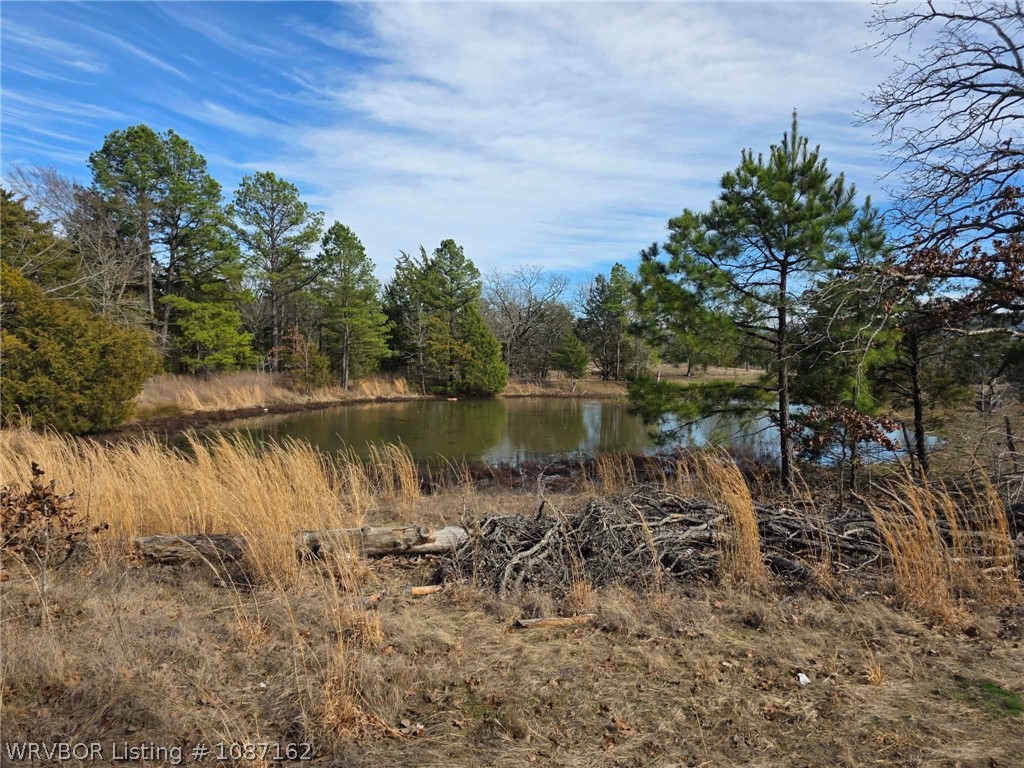 main property photo 51
