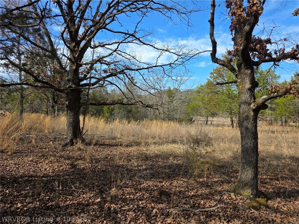 main property photo 52
