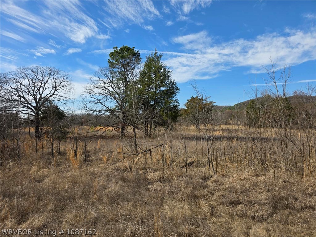 main property photo 54