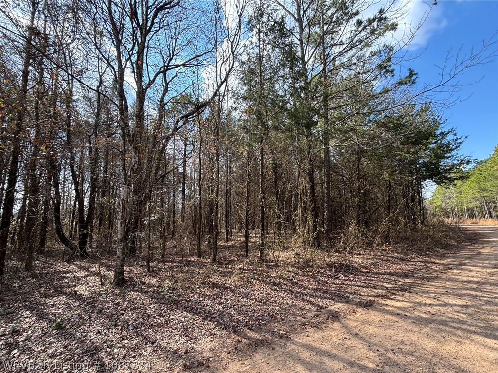 property viewer photo 4