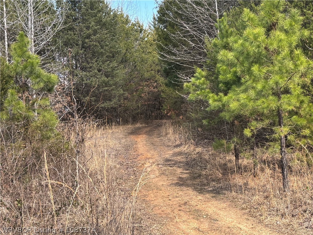 property viewer photo 6