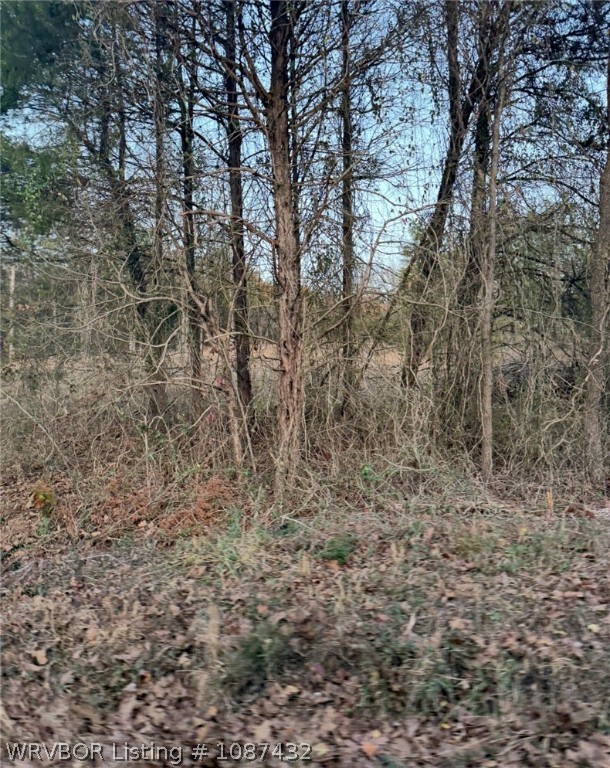 property viewer photo 2