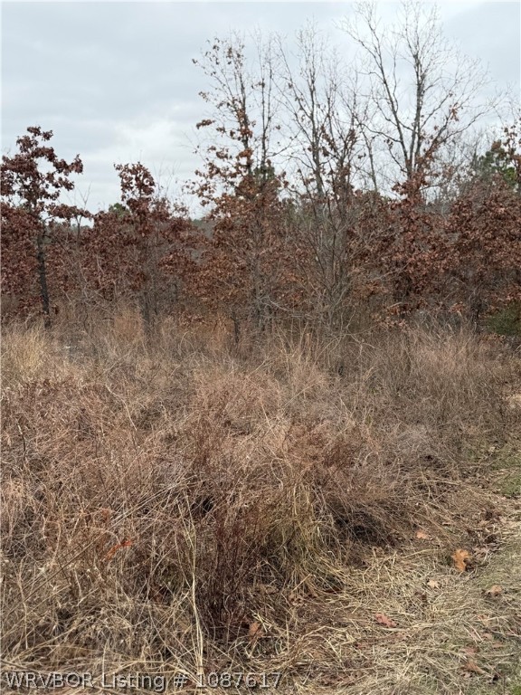 main property photo 14