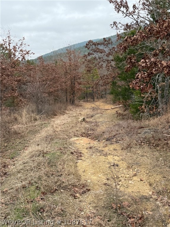 main property photo 15