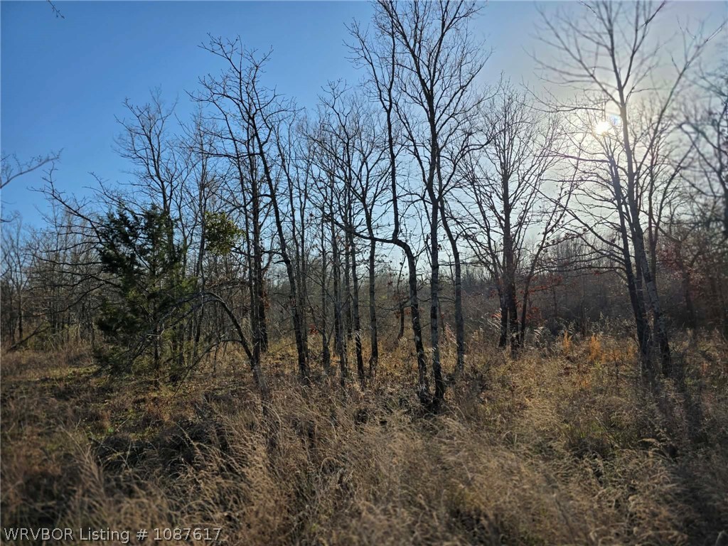 main property photo 24
