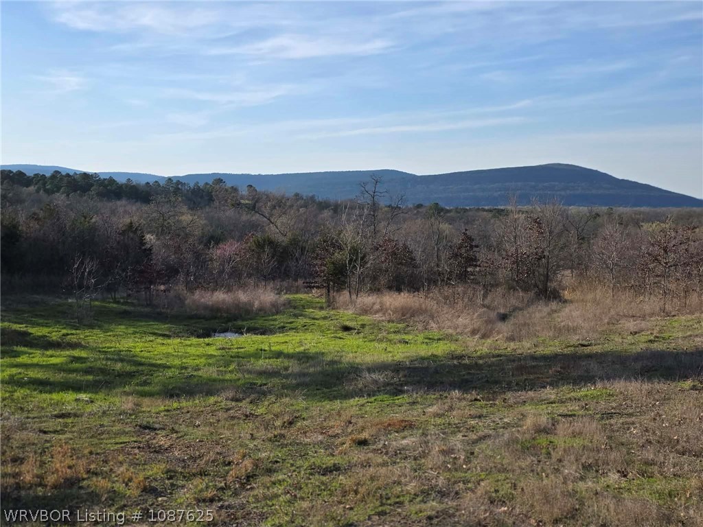 main property photo 0