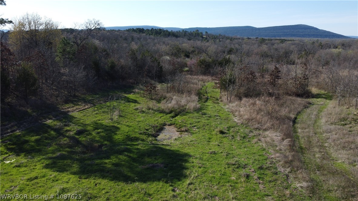 main property photo 35