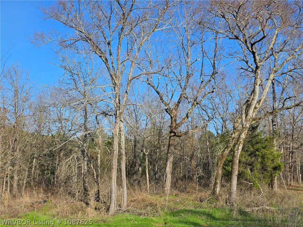 main property photo 47