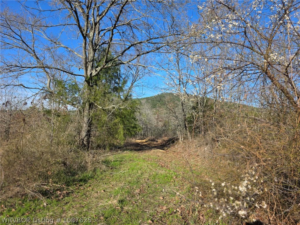 main property photo 48