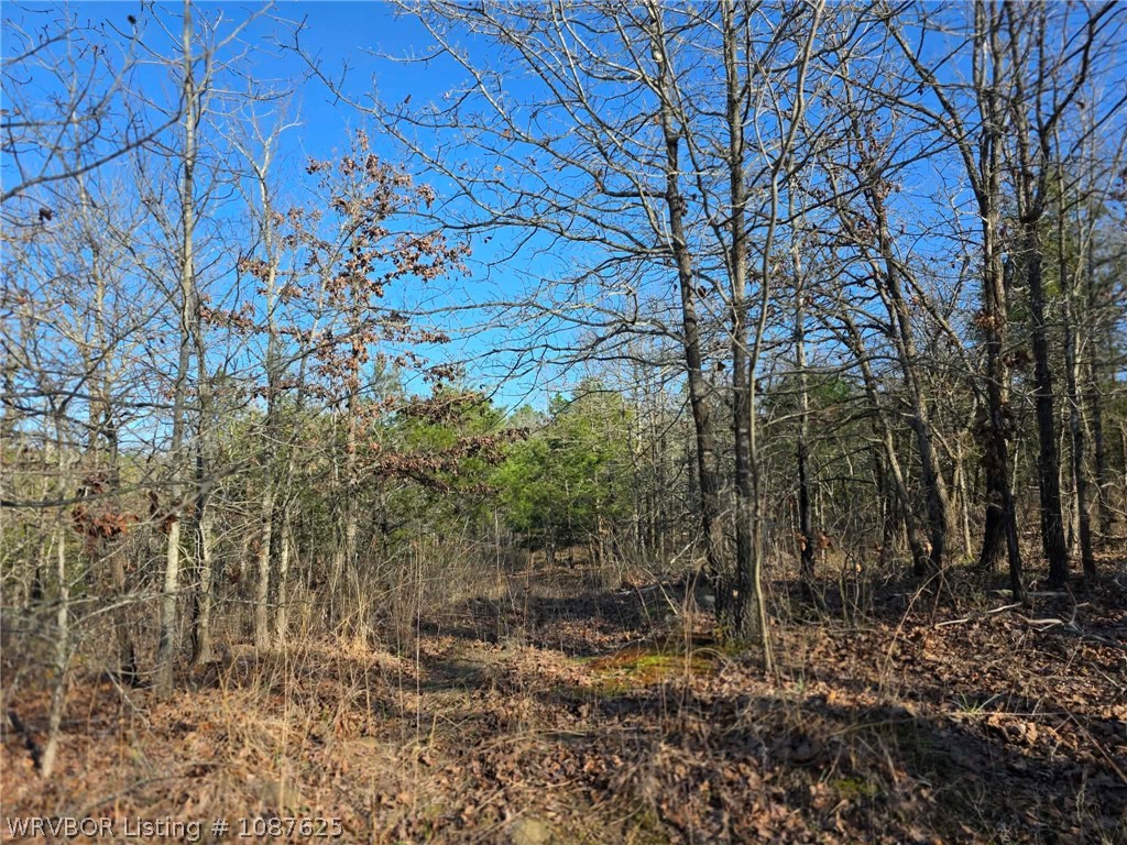 main property photo 49