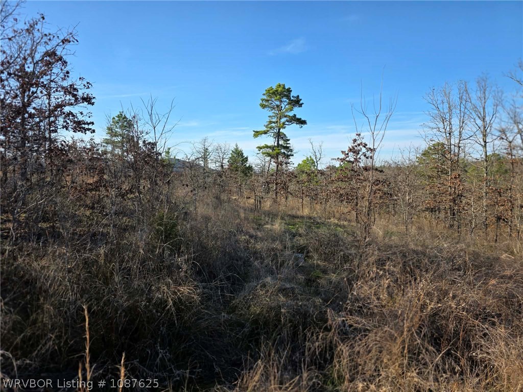 main property photo 51