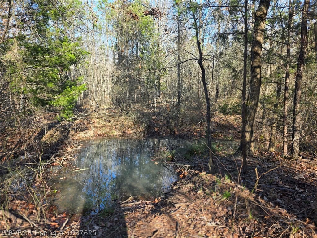 main property photo 52