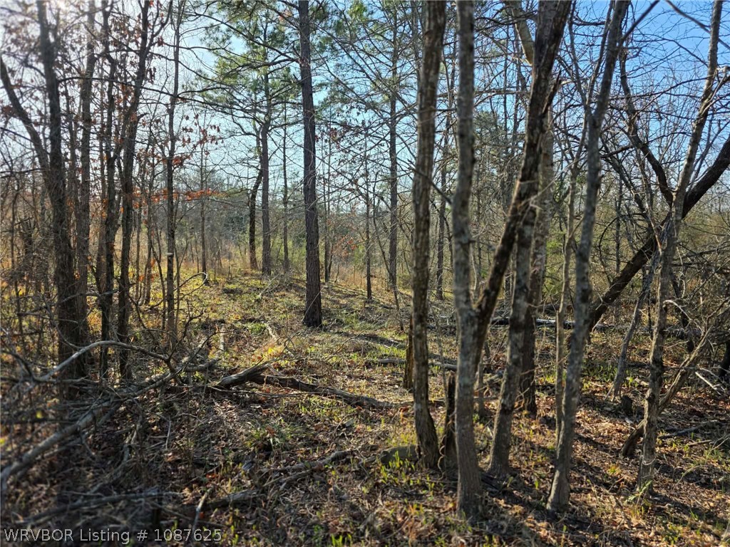 main property photo 53