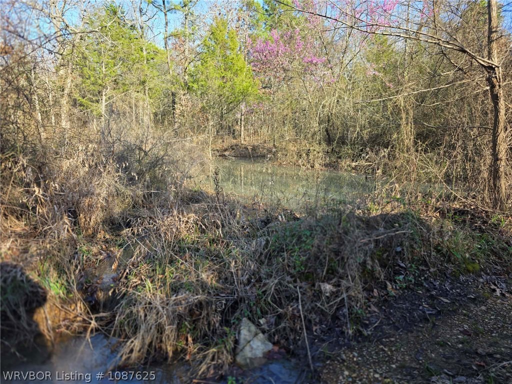 main property photo 54