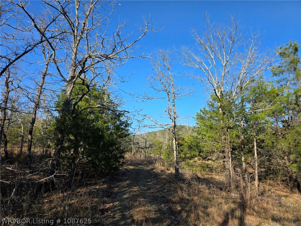 main property photo 55
