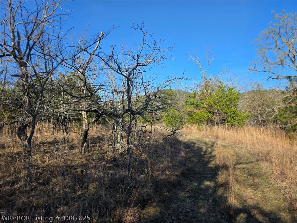 main property photo 56