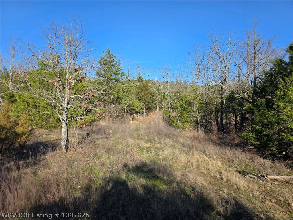 main property photo 57