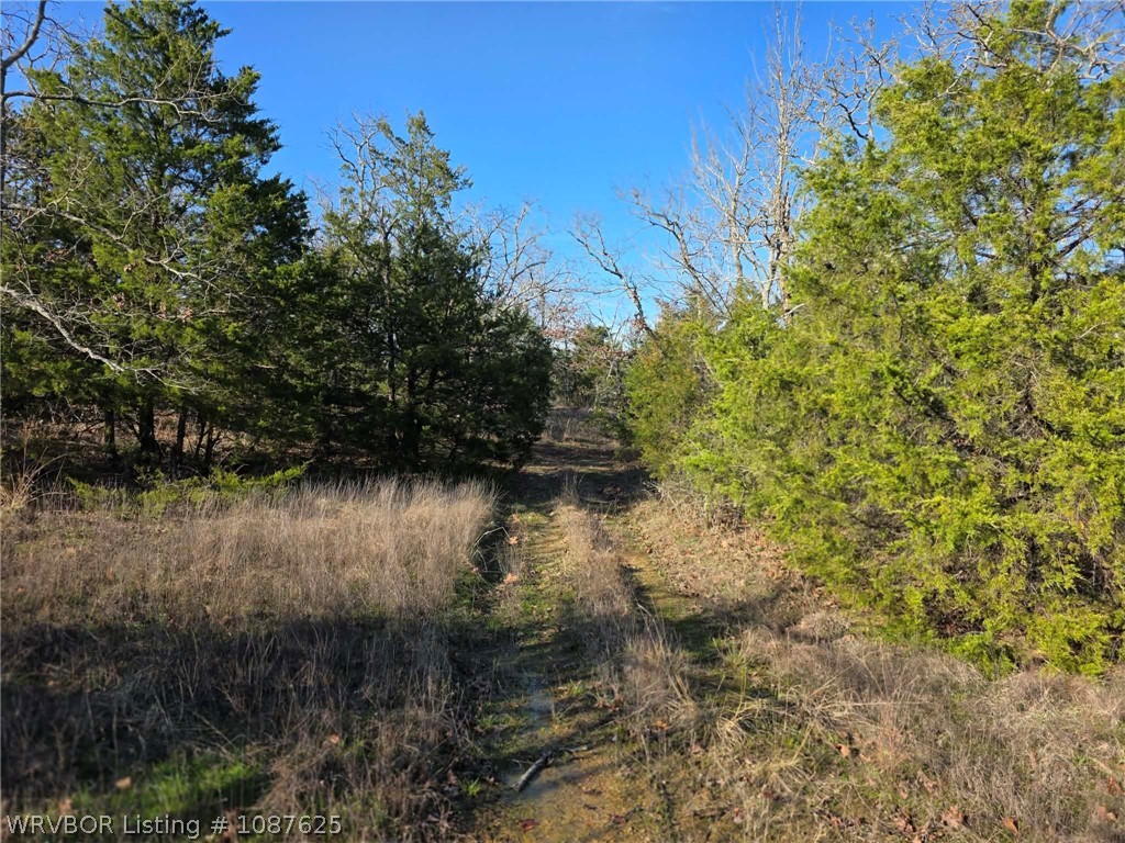 main property photo 58