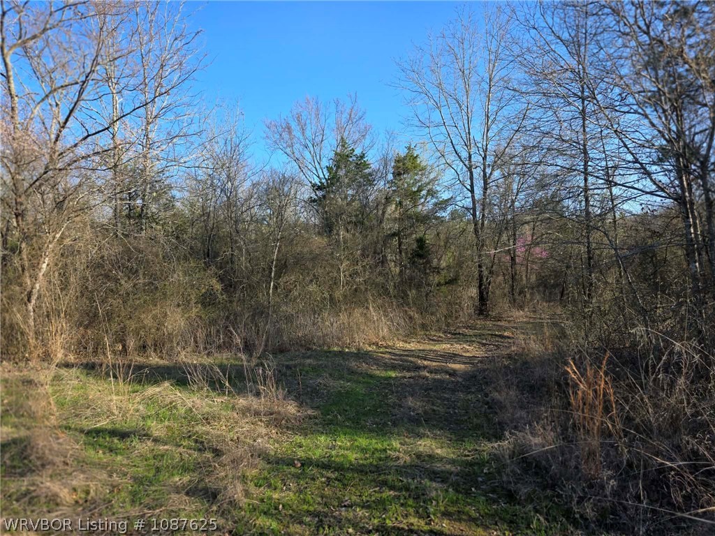 main property photo 59