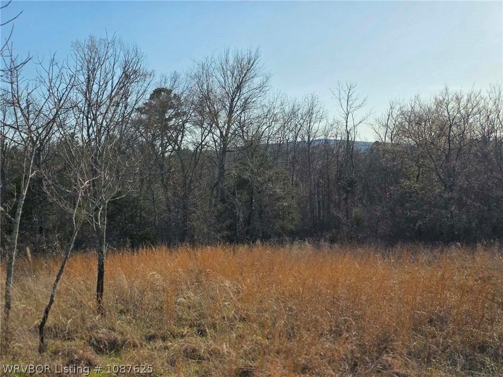main property photo 61