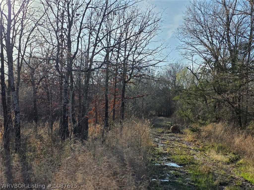 main property photo 62