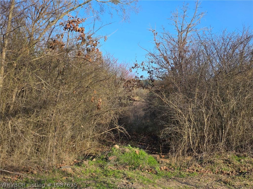 main property photo 64