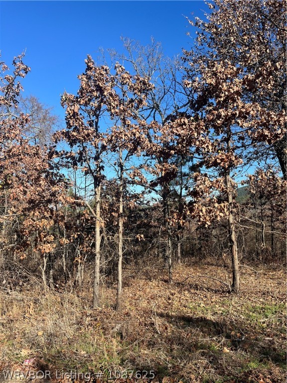 main property photo 67