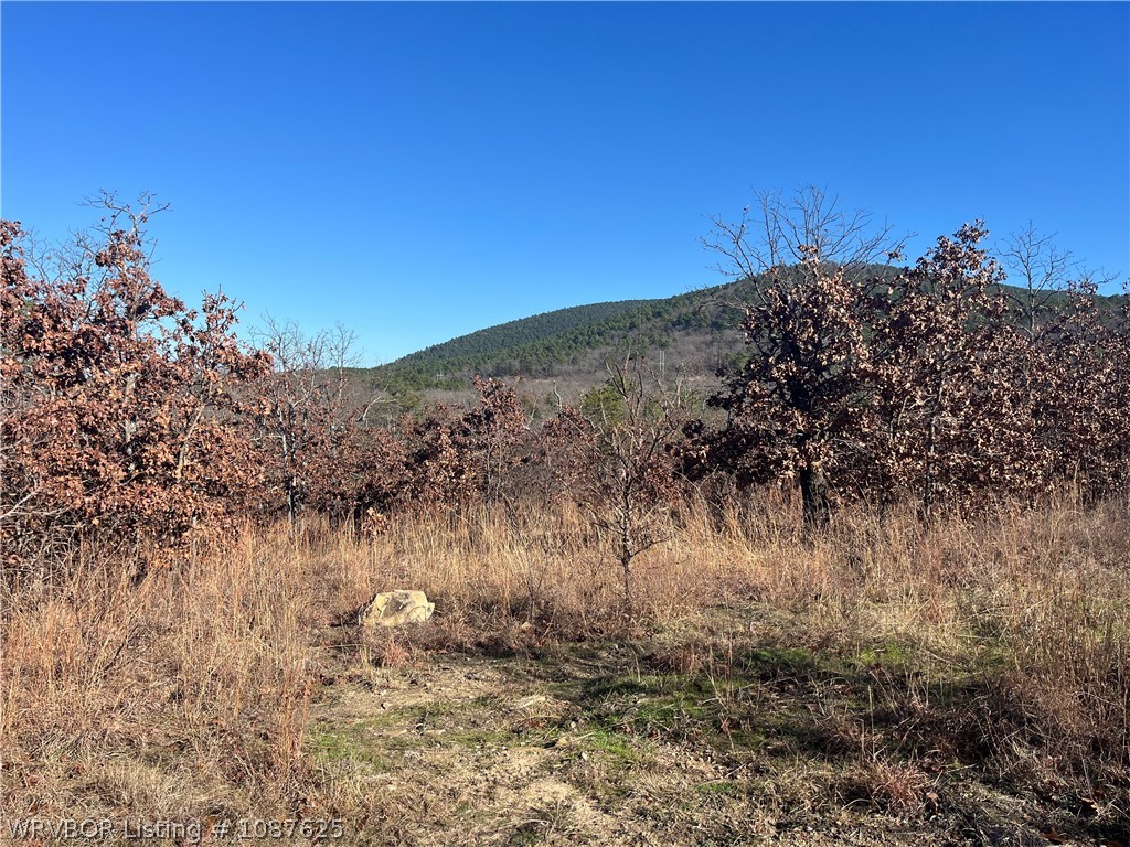 main property photo 69