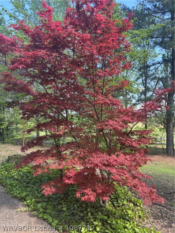 main property photo 27
