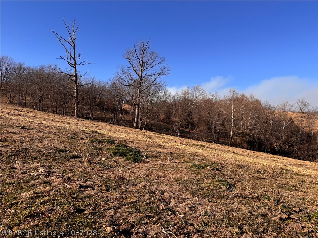 main property photo 59