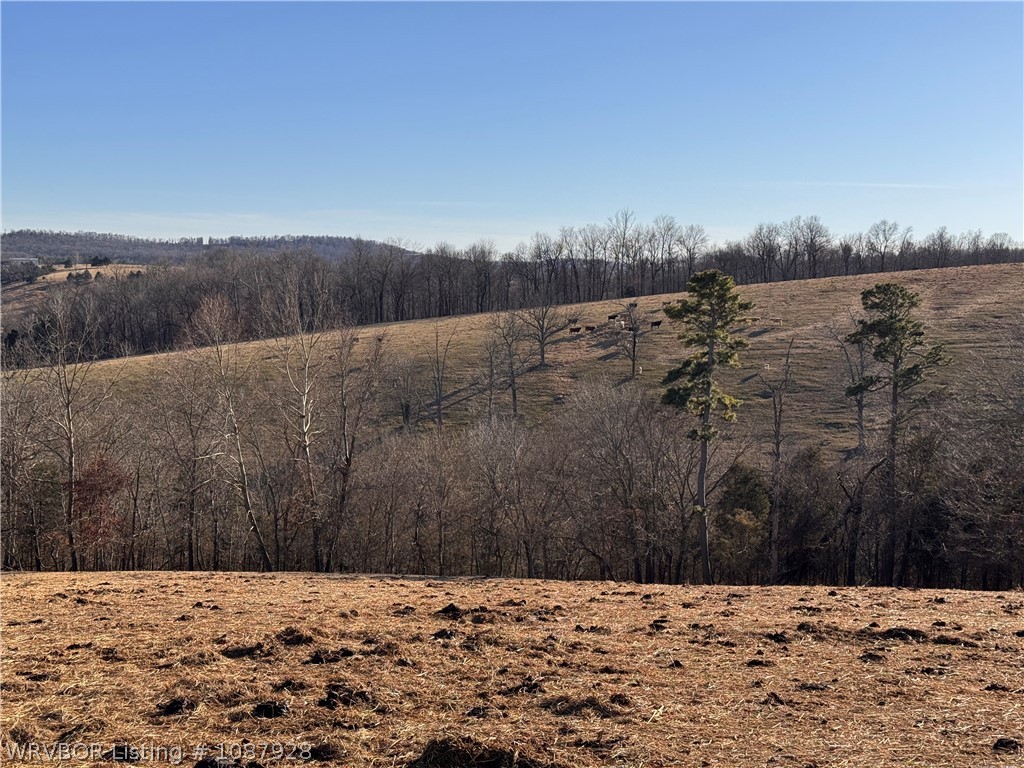 main property photo 62