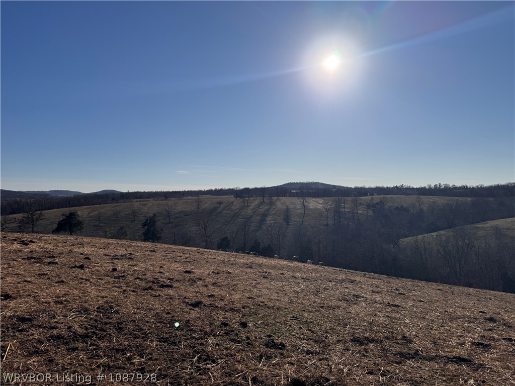 main property photo 69