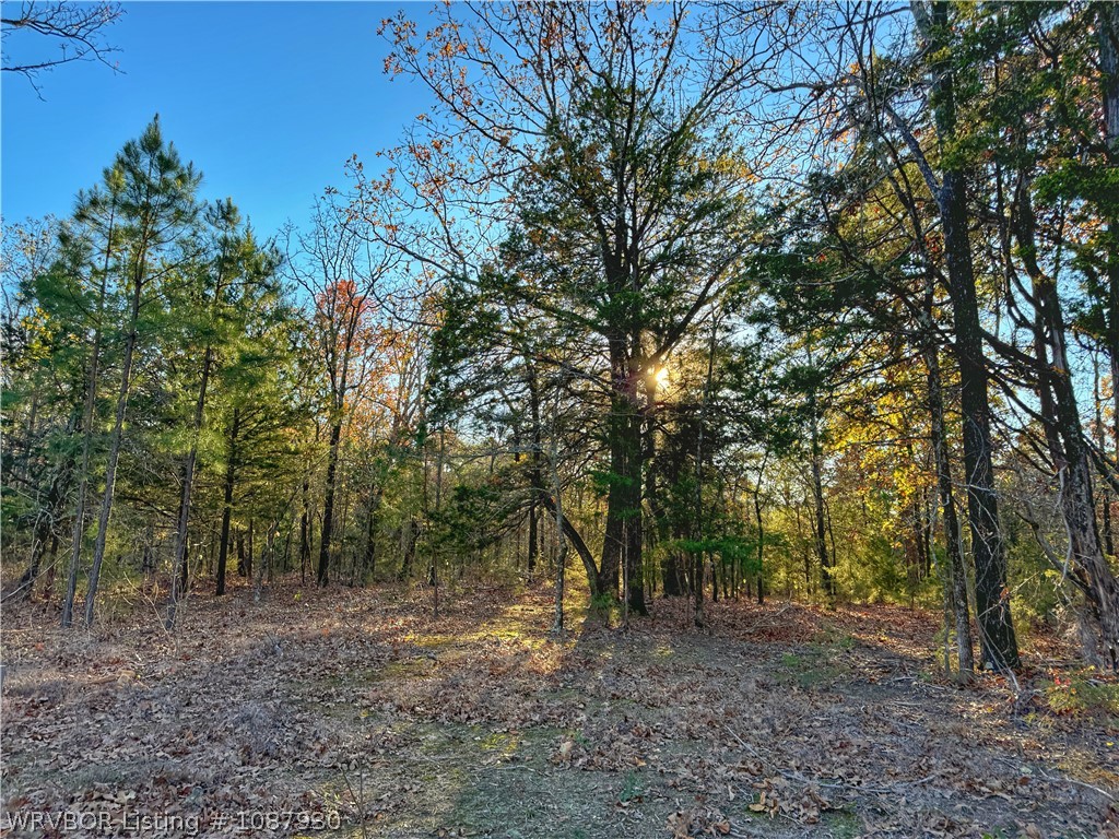 main property photo 12