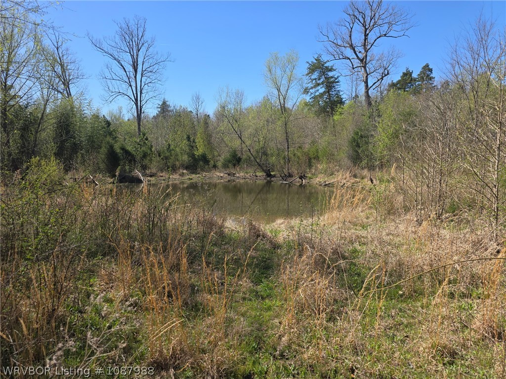main property photo 12