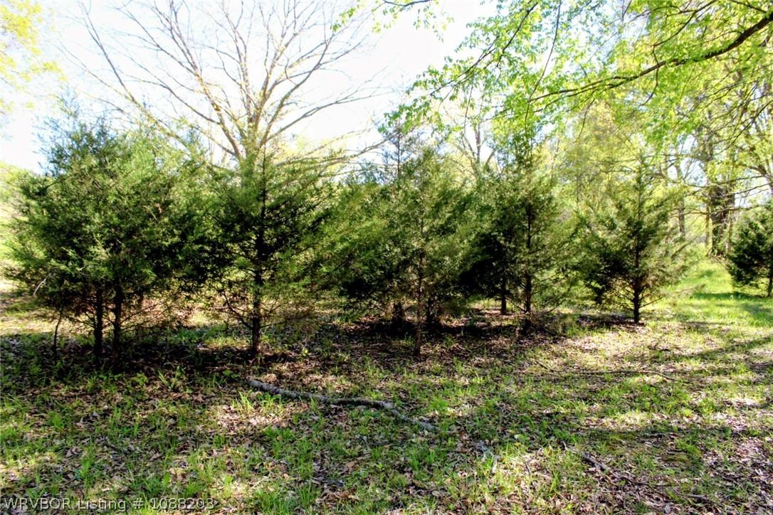 main property photo 42