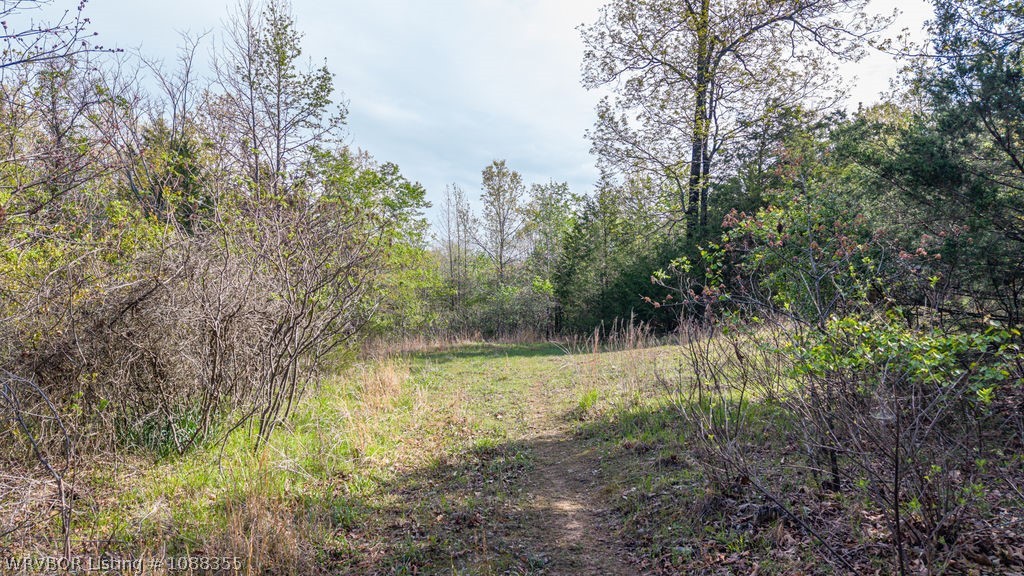 property viewer photo 18