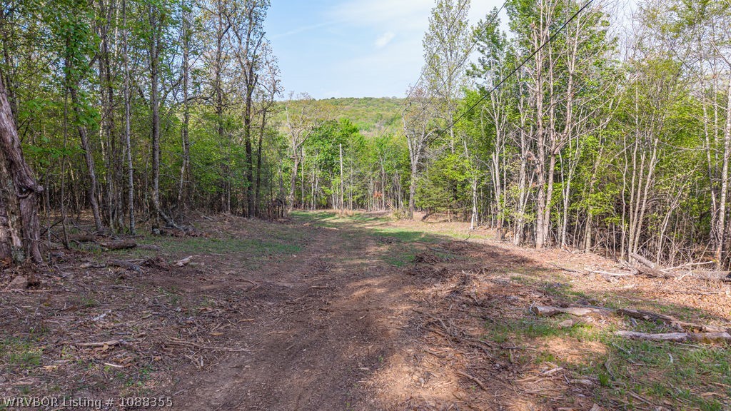 property viewer photo 40