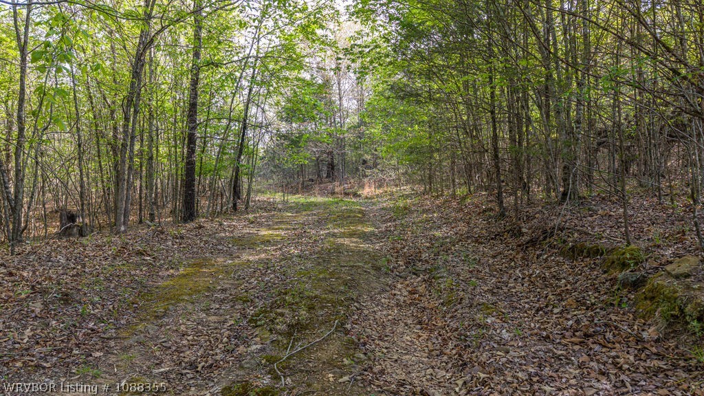 property viewer photo 42