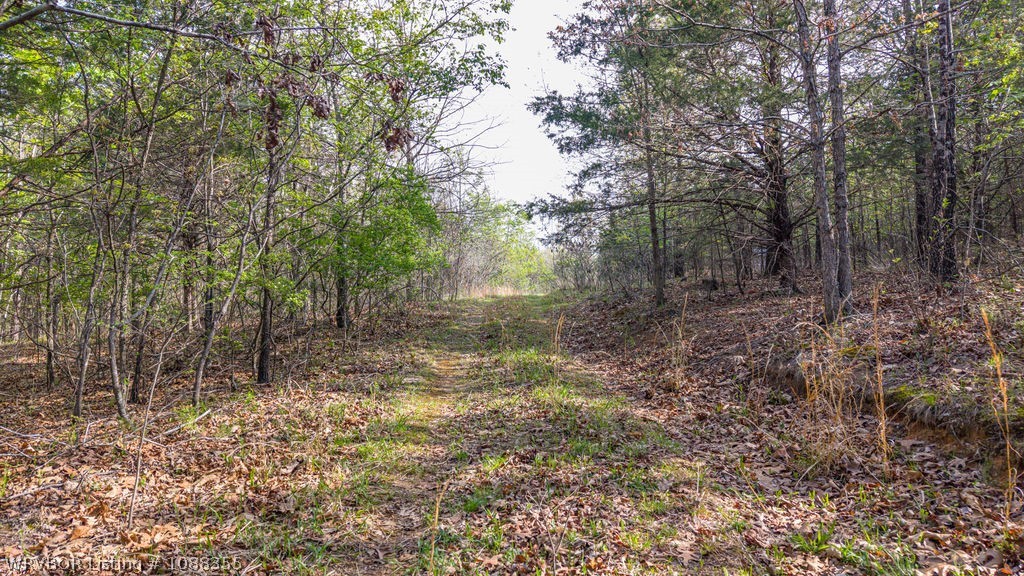 property viewer photo 43