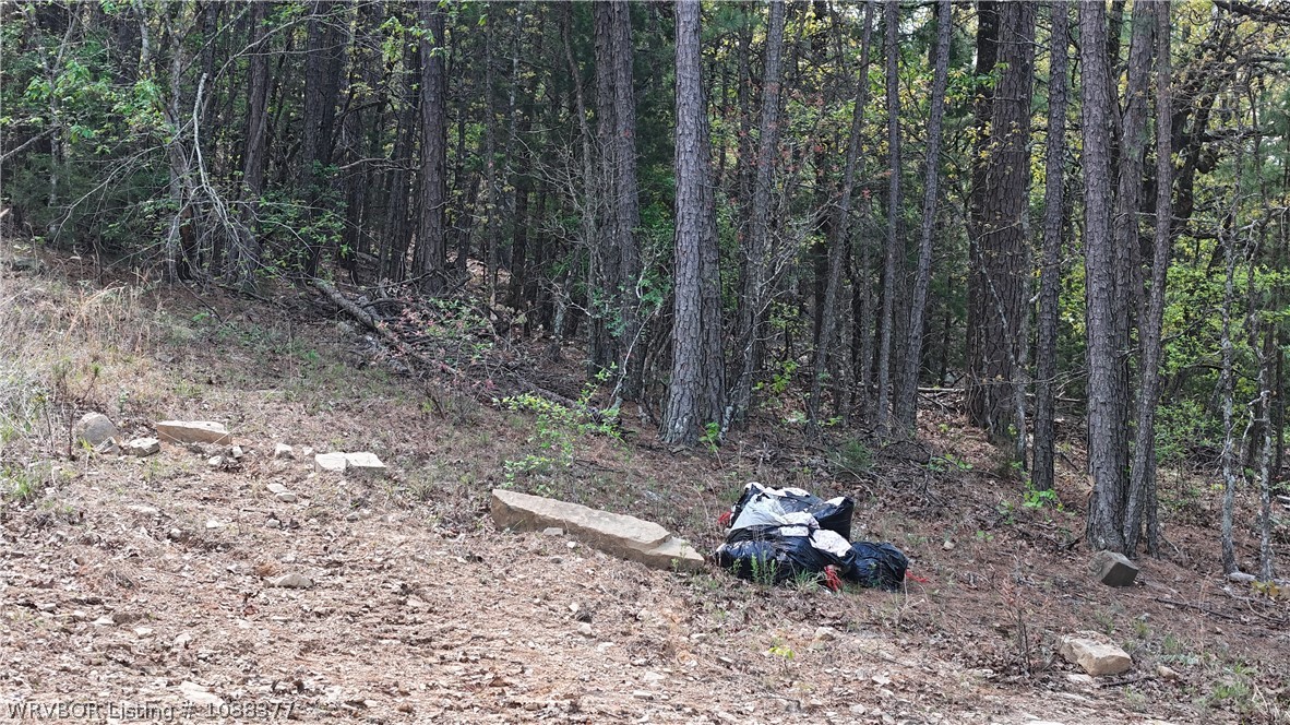 main property photo 13