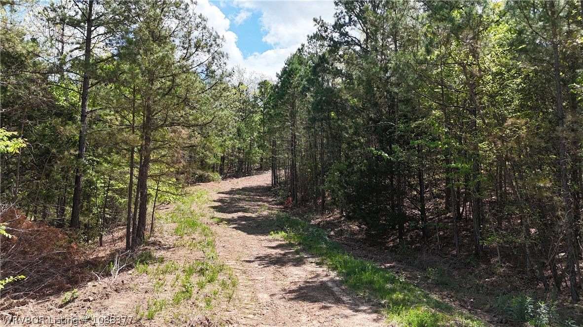 main property photo 18