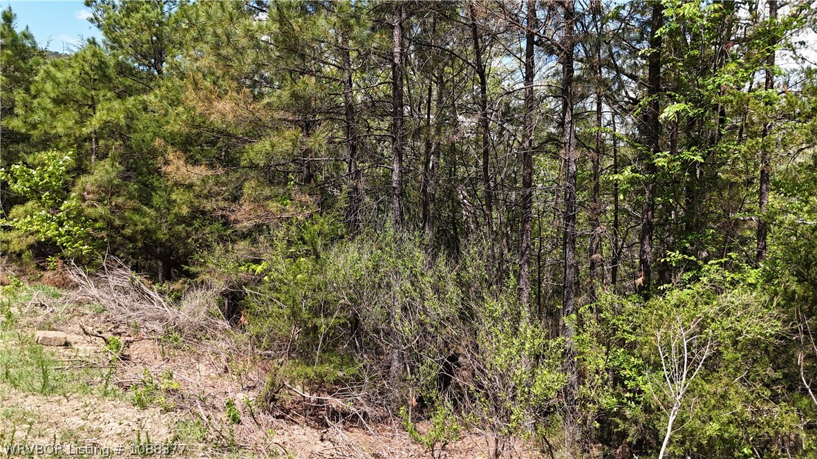 main property photo 19