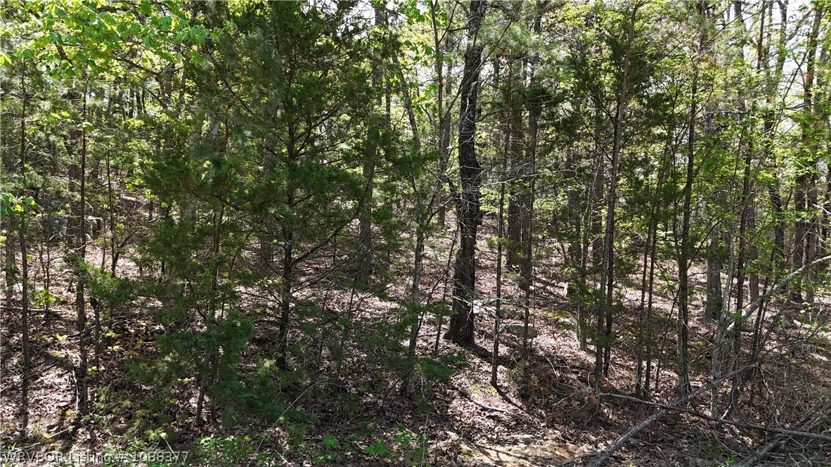 main property photo 20