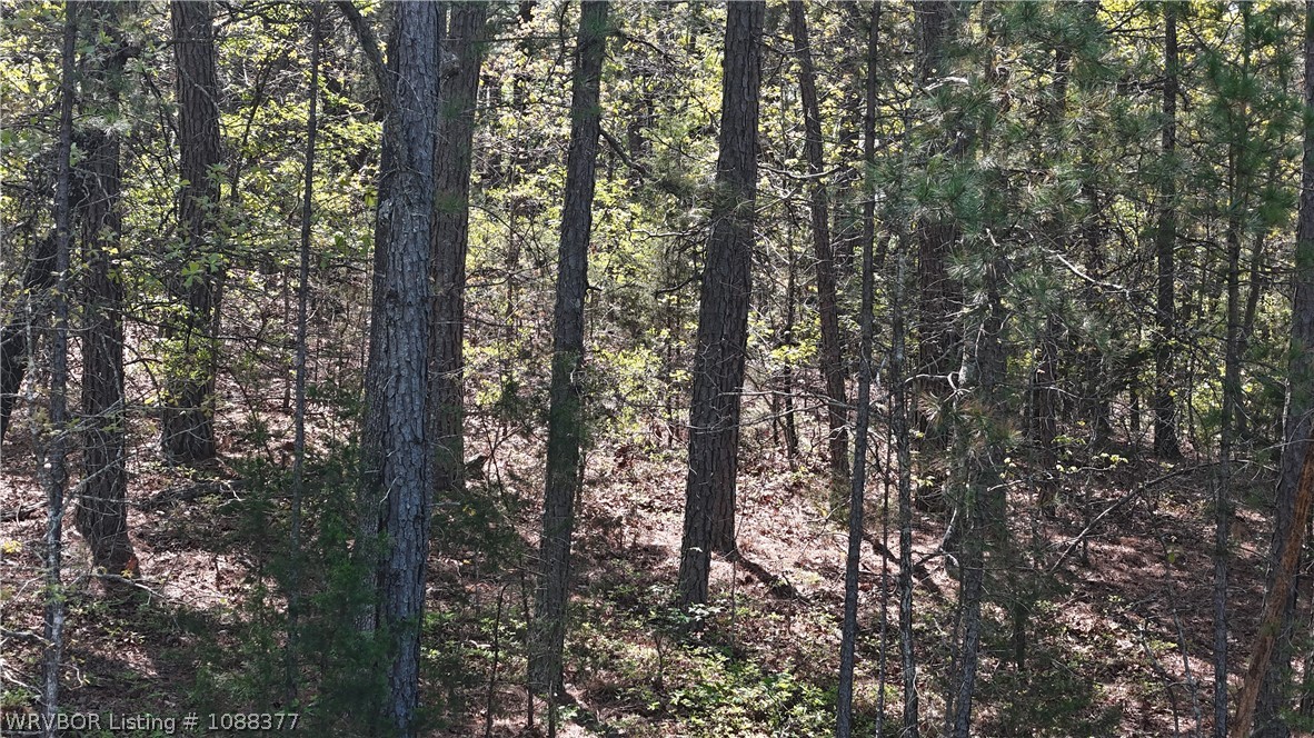 main property photo 21
