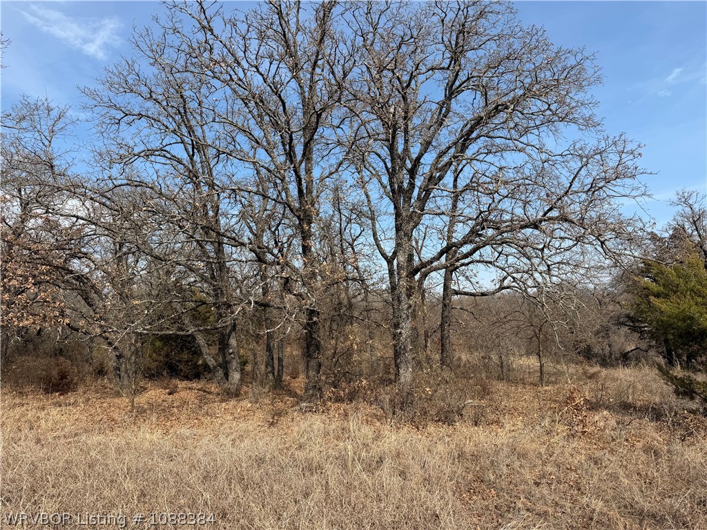 main property photo 19