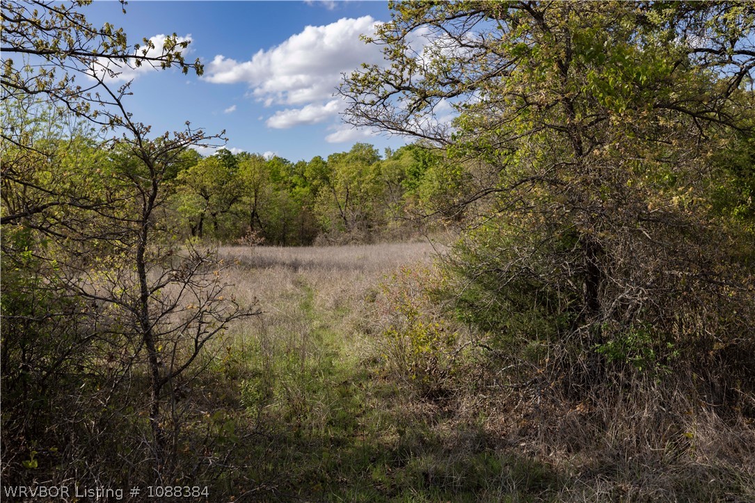 main property photo 43