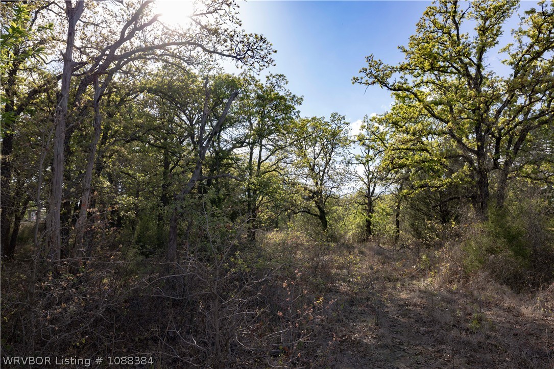 main property photo 44