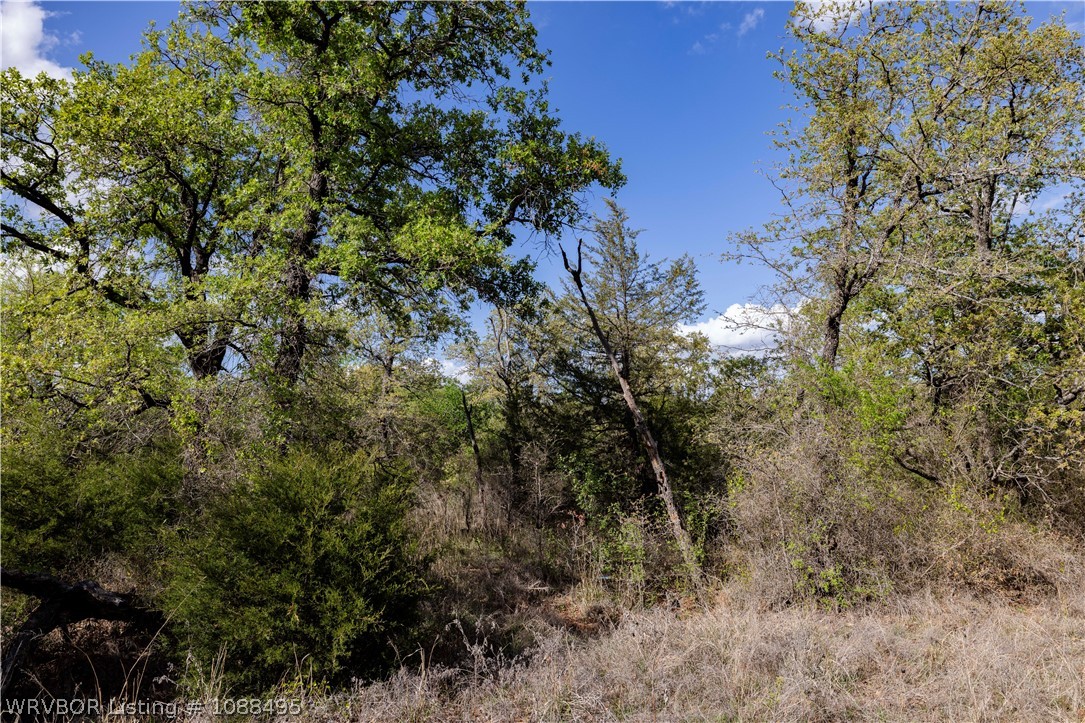 main property photo 26