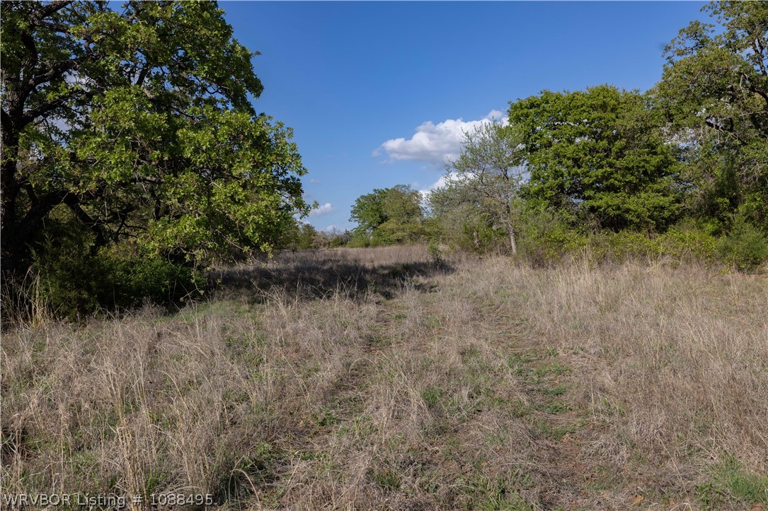 main property photo 42