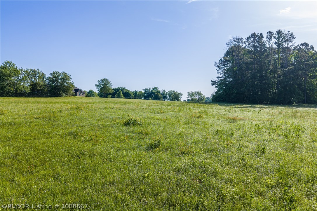 main property photo 48